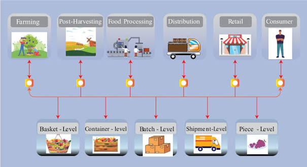 Five Food Safety Digital Solutions Reshaping Compliance Work

