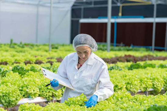 Why Traceability Matters So Much For Food Safety Programs
